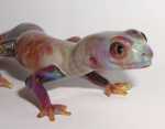 Rainbow Gecko